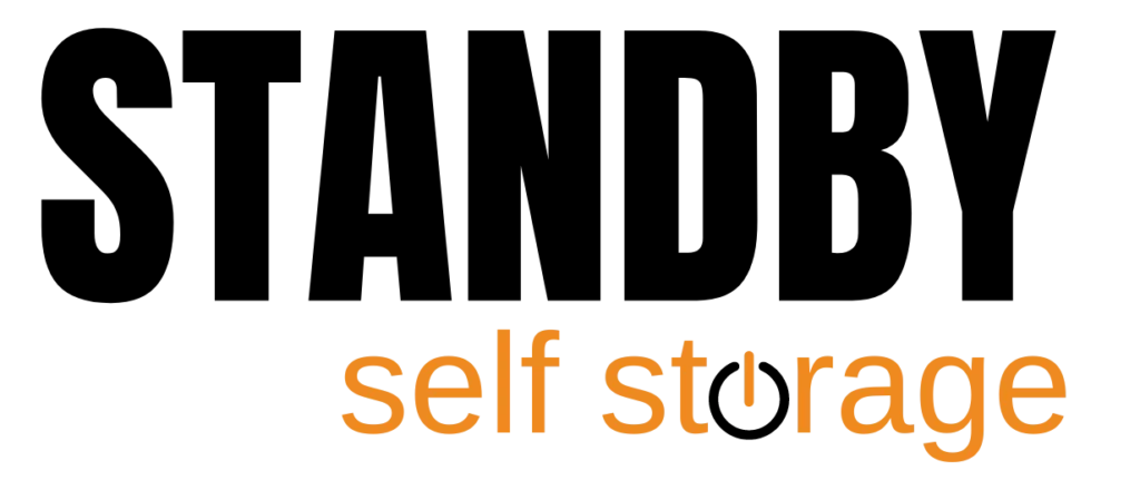 A logo displaying the text "Self Storage" in a stylized font. The word "self" is in orange, and "storage" is in black, with the letters closely spaced and a modern, angular design, perfectly capturing the essence of personal storage.